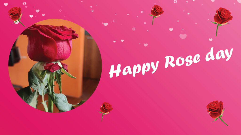 ROSE DAY