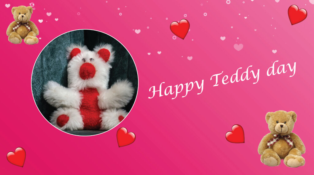 teddy day